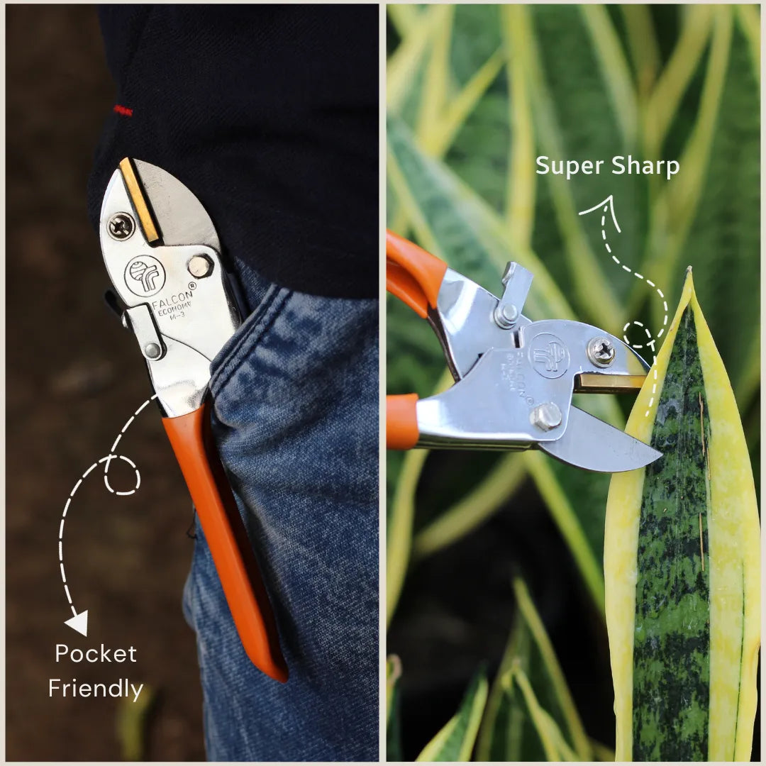 Buy Falcon Pruning Secateur with hand grip Online at Lalitenterprise