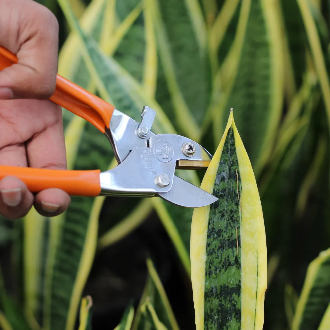 Buy Falcon Pruning Secateur with hand grip Online at Lalitenterprise