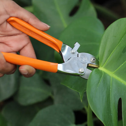 Buy Falcon Pruning Secateur with hand grip Online at Lalitenterprise