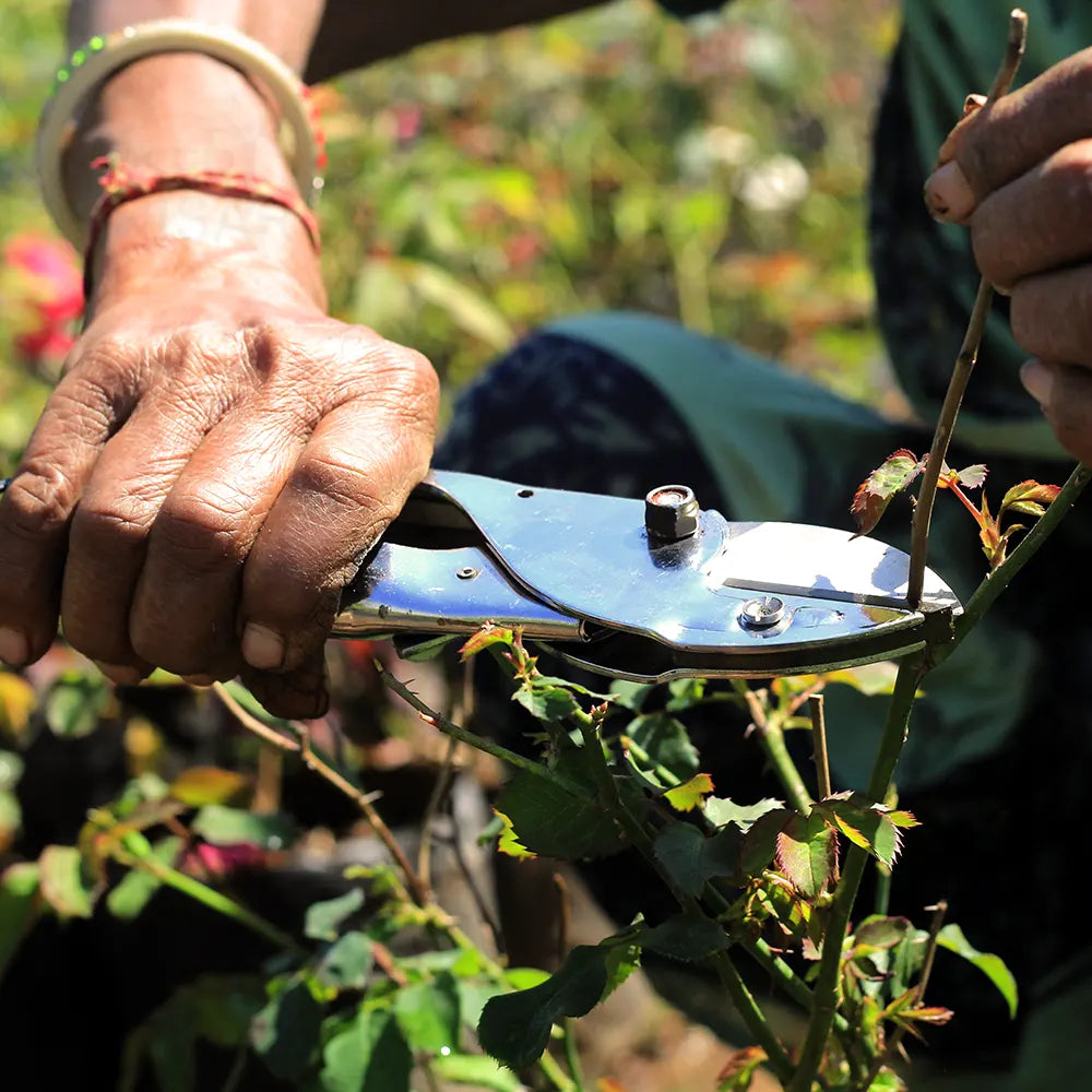 Buy Falcon Pruning Secateur with hand grip Online at Lalitenterprise