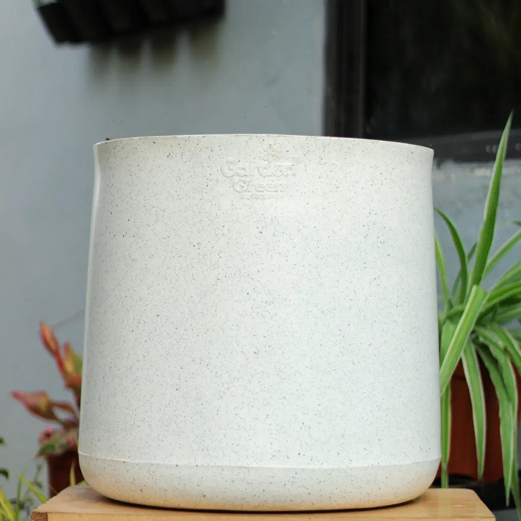 Buy Garden Green DTR Rotomold Stone Finish - Planter Online at Lalitenterprise