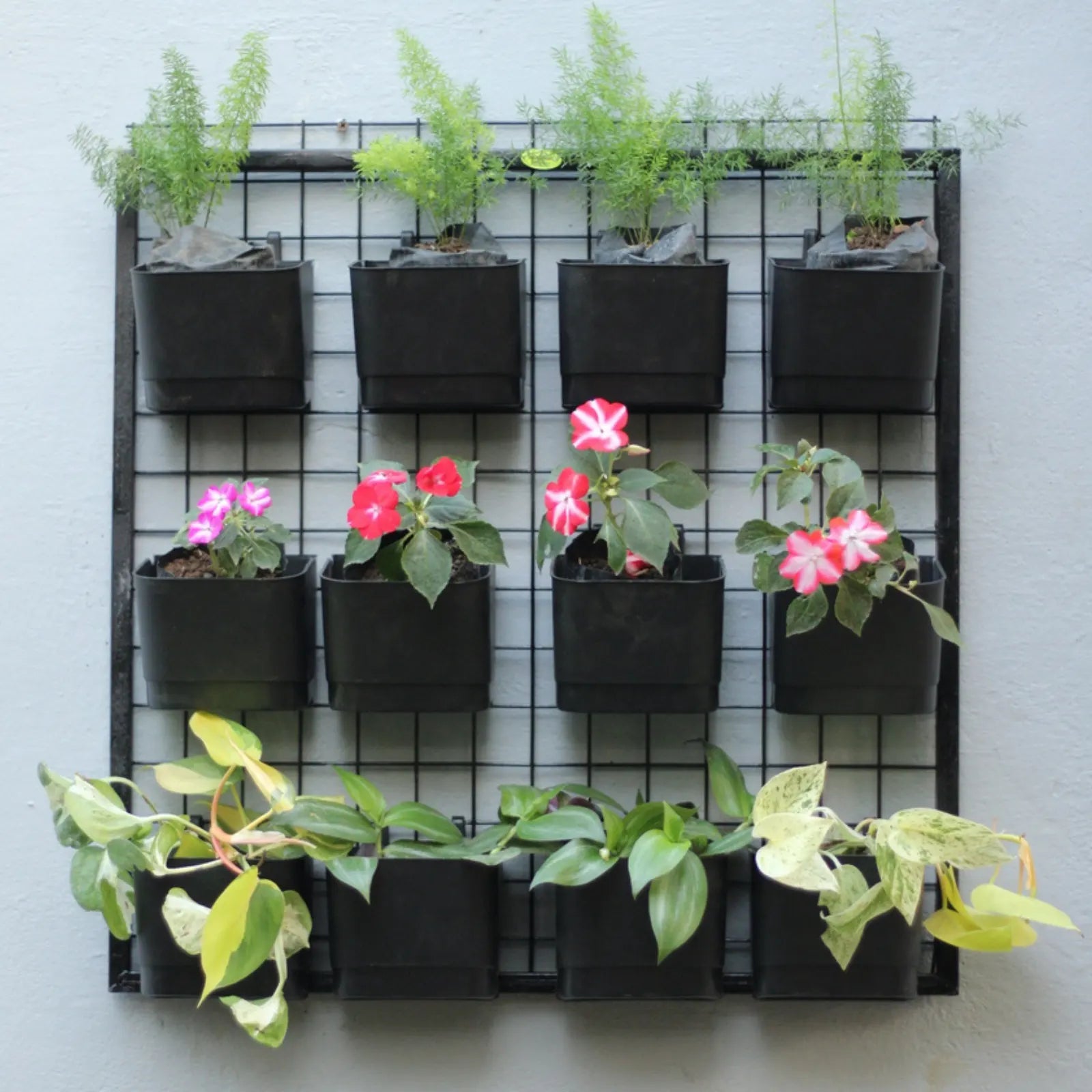 Buy Garden Green "Hanging Pot with Panel" for Plant Online at Lalitenterprise