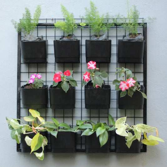 Buy Garden Green "Hanging Pot with Panel" for Plant Online at Lalitenterprise