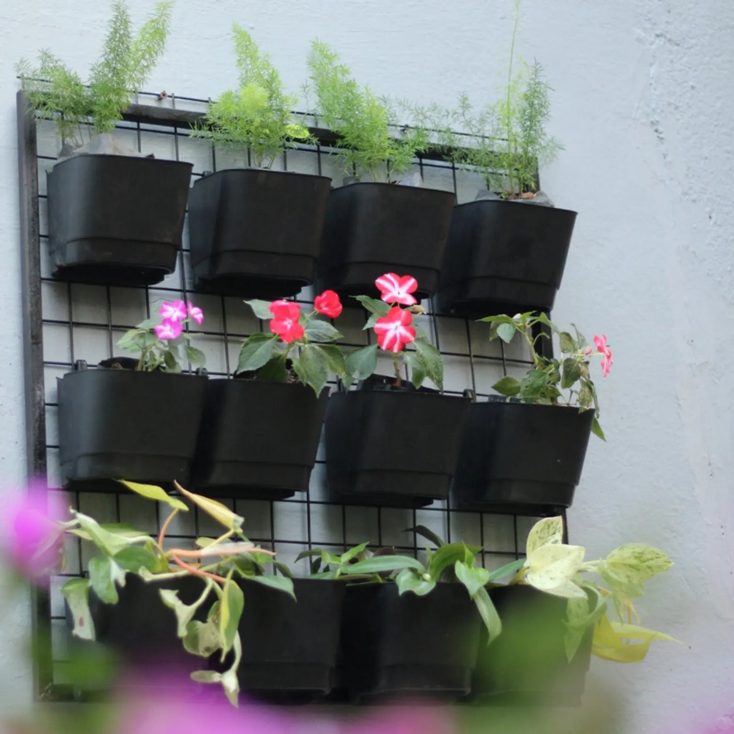 Buy Garden Green "Hanging Pot with Panel" for Plant Online at Lalitenterprise