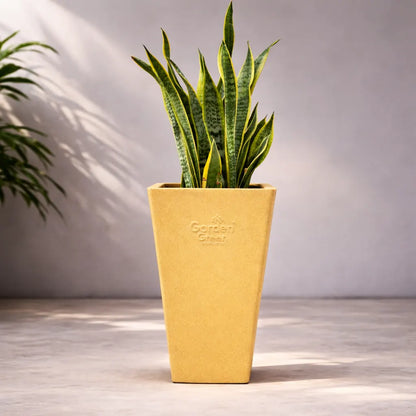 Buy Garden Green ST Rotomold Stone - Planter Online at Lalitenterprise