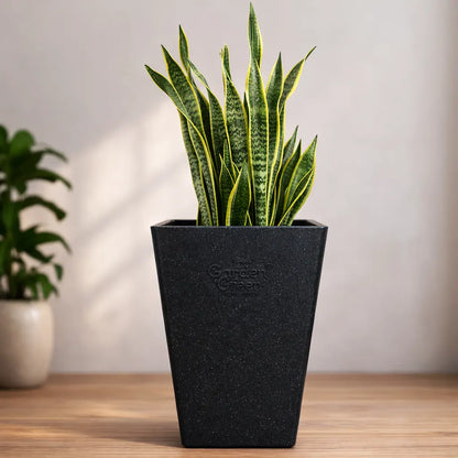Buy Garden Green ST Rotomold Stone - Planter Online at Lalitenterprise