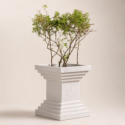 Buy Garden Green Tulsi Rotomold Stone Finish Planter Online at Lalitenterprise