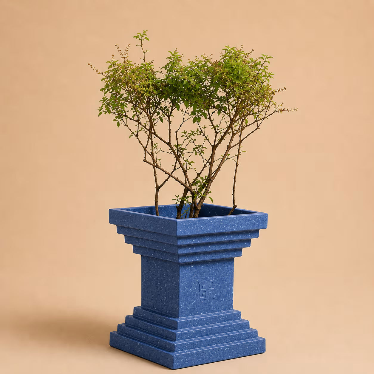 Buy Garden Green Tulsi Rotomold Stone Finish Planter Online at Lalitenterprise