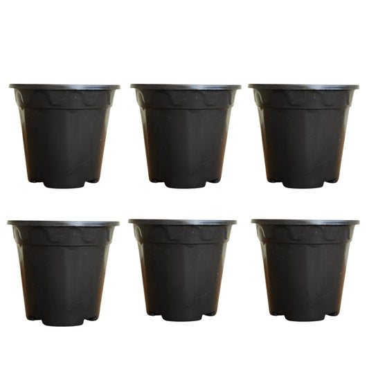 Buy Gardening Plastic Pots - Black Online at Lalitenterprise