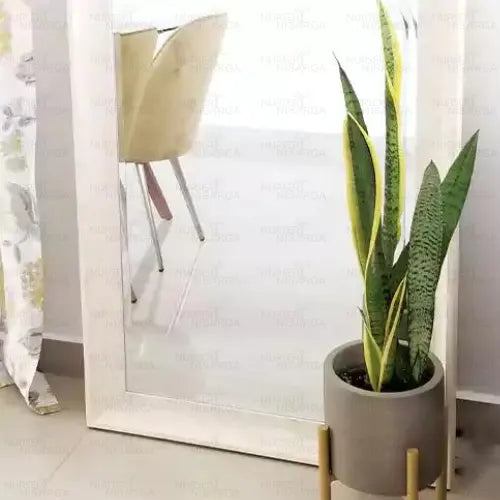 Buy Golden Bird's Nest Snake Plant Online at Lalitenterprise