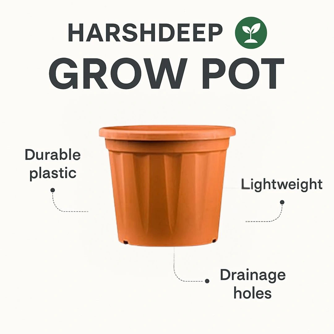 Buy Harshdeep Grow Planter Online at Lalitenterprise