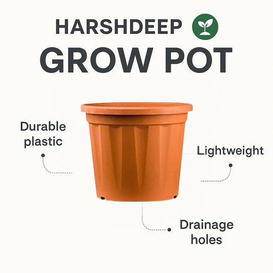 Buy Harshdeep Grow Planter Online at Lalitenterprise