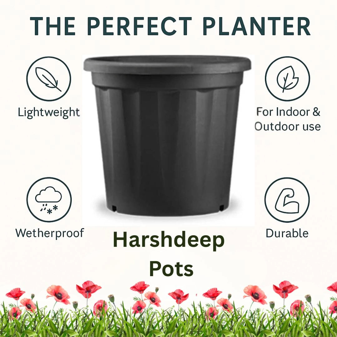 Buy Harshdeep Grow Planter Online at Lalitenterprise