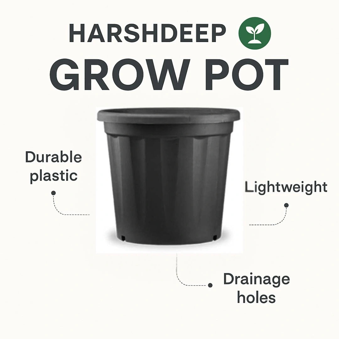 Buy Harshdeep Grow Planter Online at Lalitenterprise