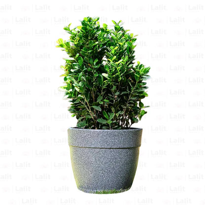 Buy Harshdeep Premium Barca Round Grey Stone - Planter Online at Lalitenterprise