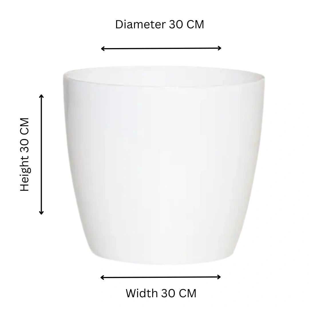 Buy Harshdeep Valencia With Wheels Planters White Online at Lalityenterprise