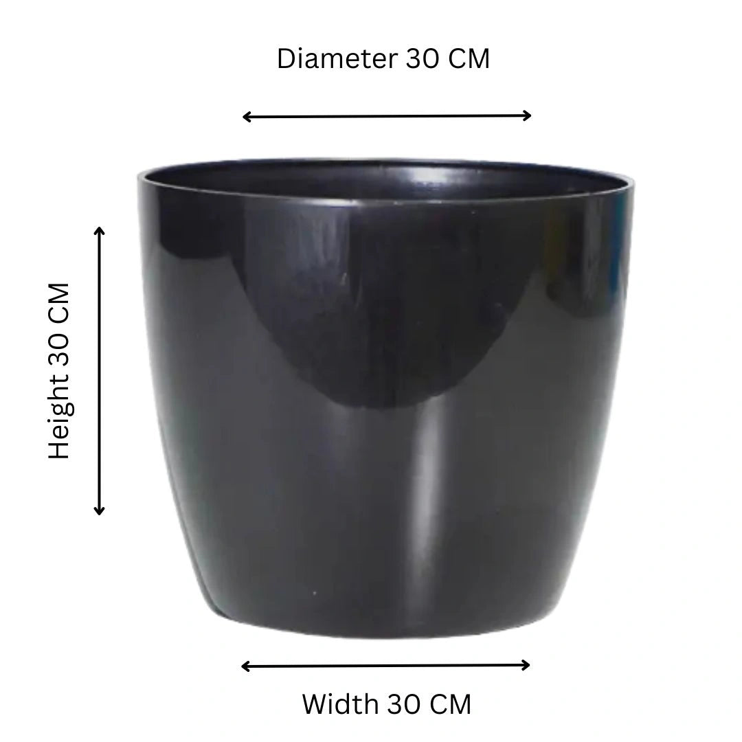 Buy Harshdeep Valencia With Wheels Planters Black Online at Lalityenterprise