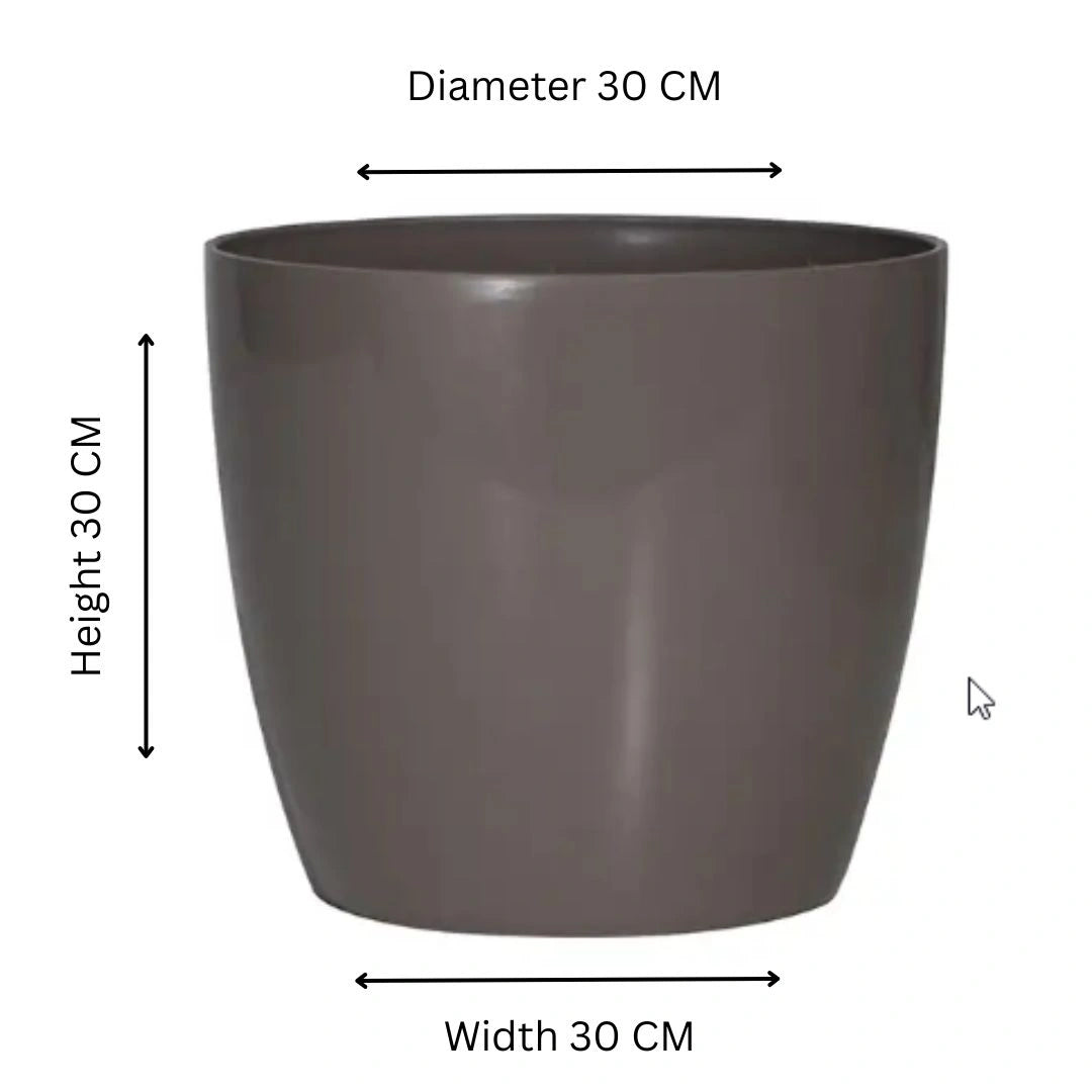 Buy Harshdeep Valencia With Wheels Planters Mocca Online at Lalityenterprise