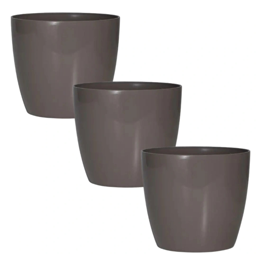 Buy Harshdeep Valencia With Wheels Planters Mocca Online at Lalityenterprise