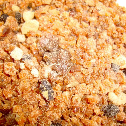 Buy Hing, Asafoetida (Ferula Assafoetida) - Plant Online at Lalitenterprise