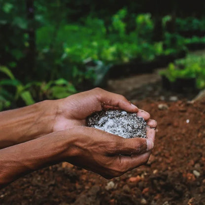 Buy Horticulture Perlite (Perlite Fillite) Online at Lalitenterprise