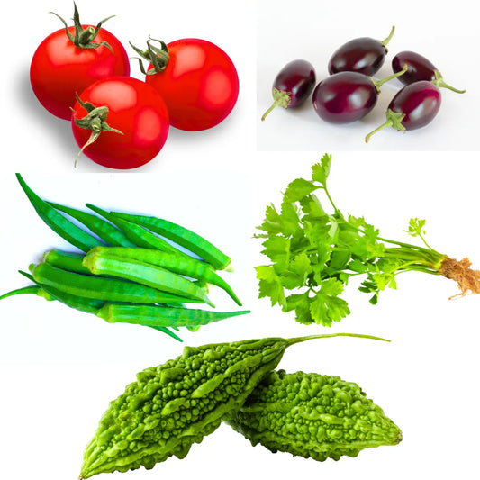 Buy Indian Vegetable Seeds Combo "Pack of 5" Online at Lalitenterprise