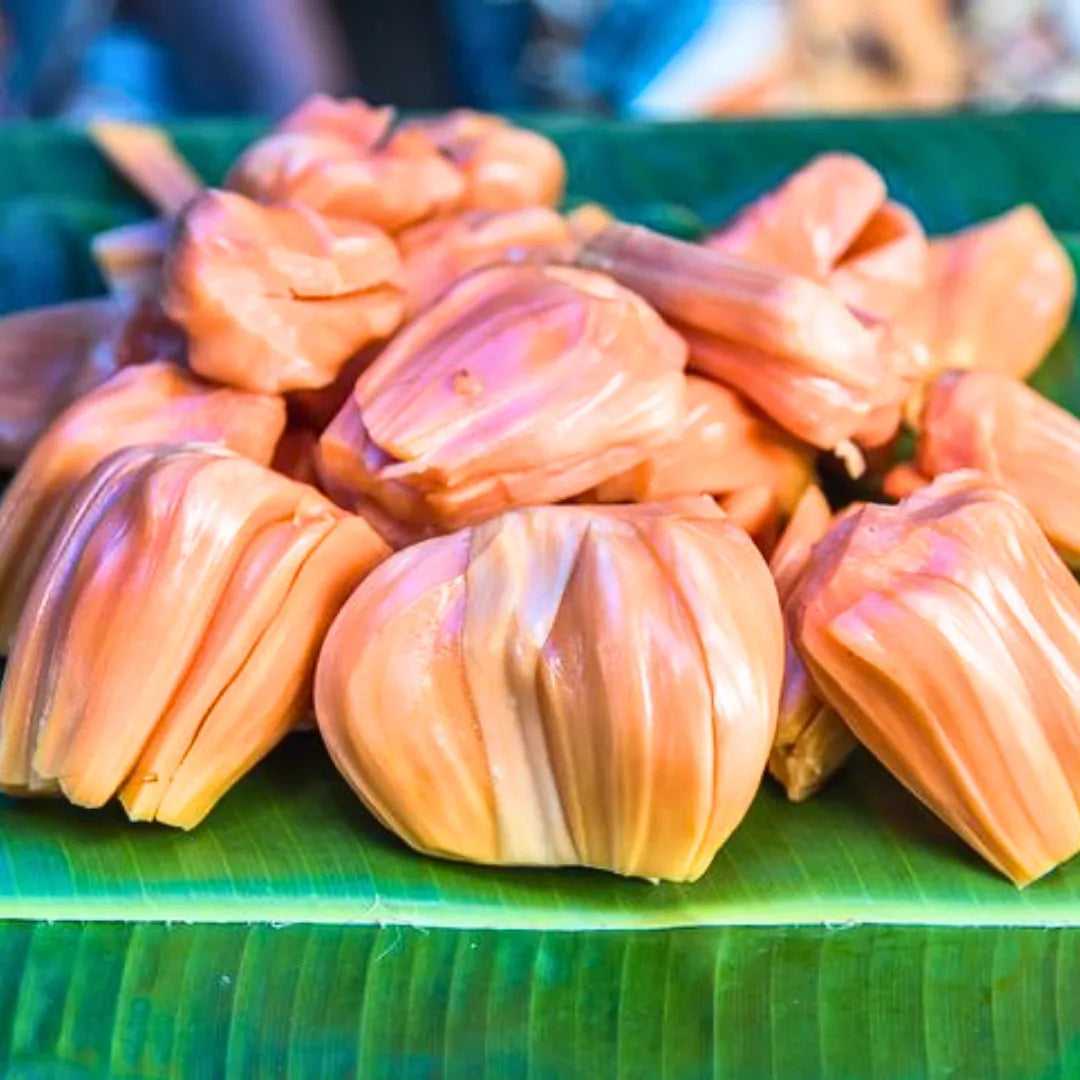 Buy Jackfruit "Red" - Plant Online at Lalitenterprise