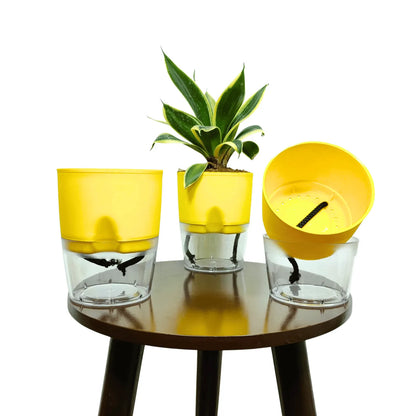 Buy LOBELLO Premium Quality self watering yellow pot Online at Lalitenterprise