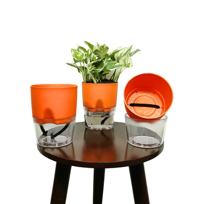 Buy LOBELLO Premium Quality self watering Orange pot Online at Lalitenterprise