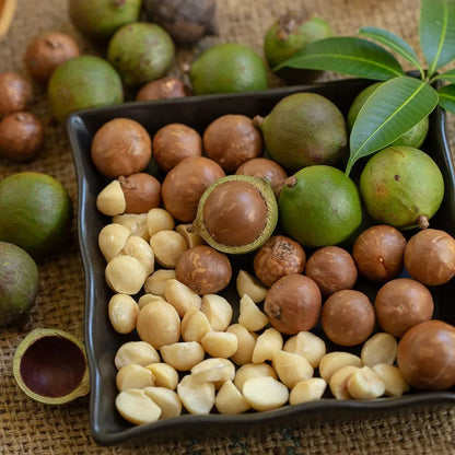 Buy Macadamia Grafted (Macadamia Integrifolia) - Plant Online at Lalitenterprise