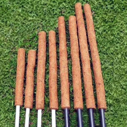 Buy Moss Stick for Plants Online at Lalitenterprise