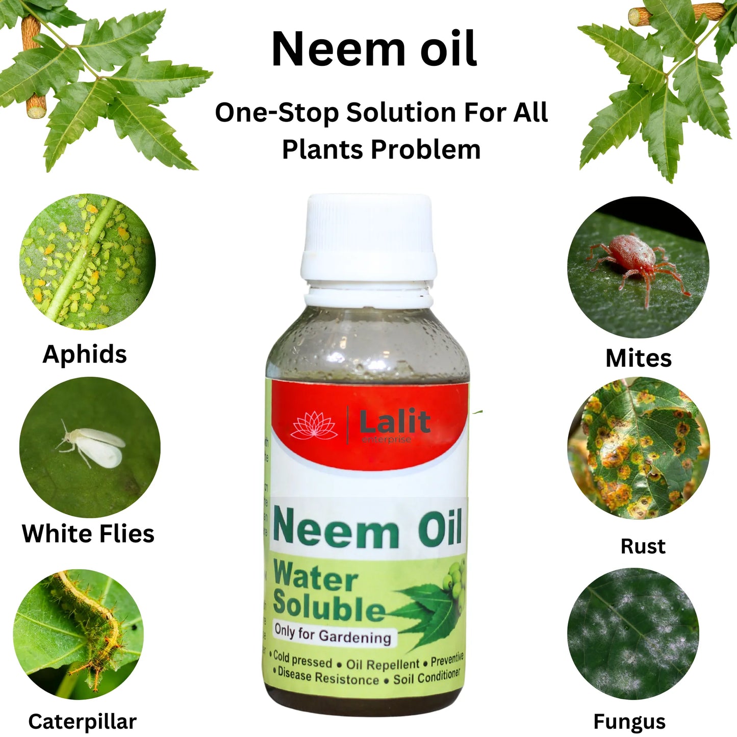 Buy Neem Oil for Plant Online at Lalitenterprise