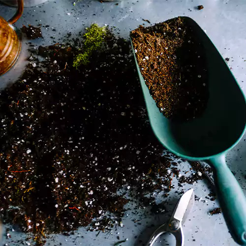 Buy Organic Potting Mix Online at Lalitenterprise