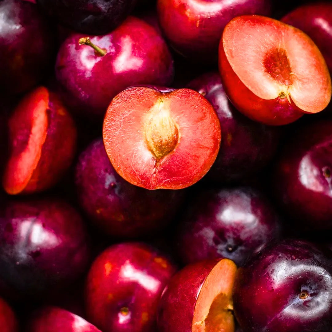 Buy Plum - Plant Online at Lalitenterprise