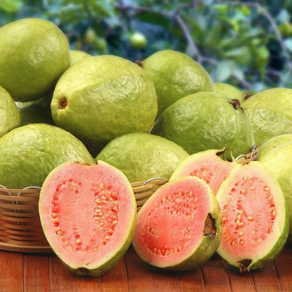 Buy Red Diamond Guava (Psidium Guajava 'Red Diamond') - Plant Online at Lalitenterprise