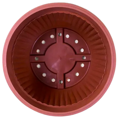 Buy Round Shape Bonsai Plastic Pot Online at Lalitenterprise
