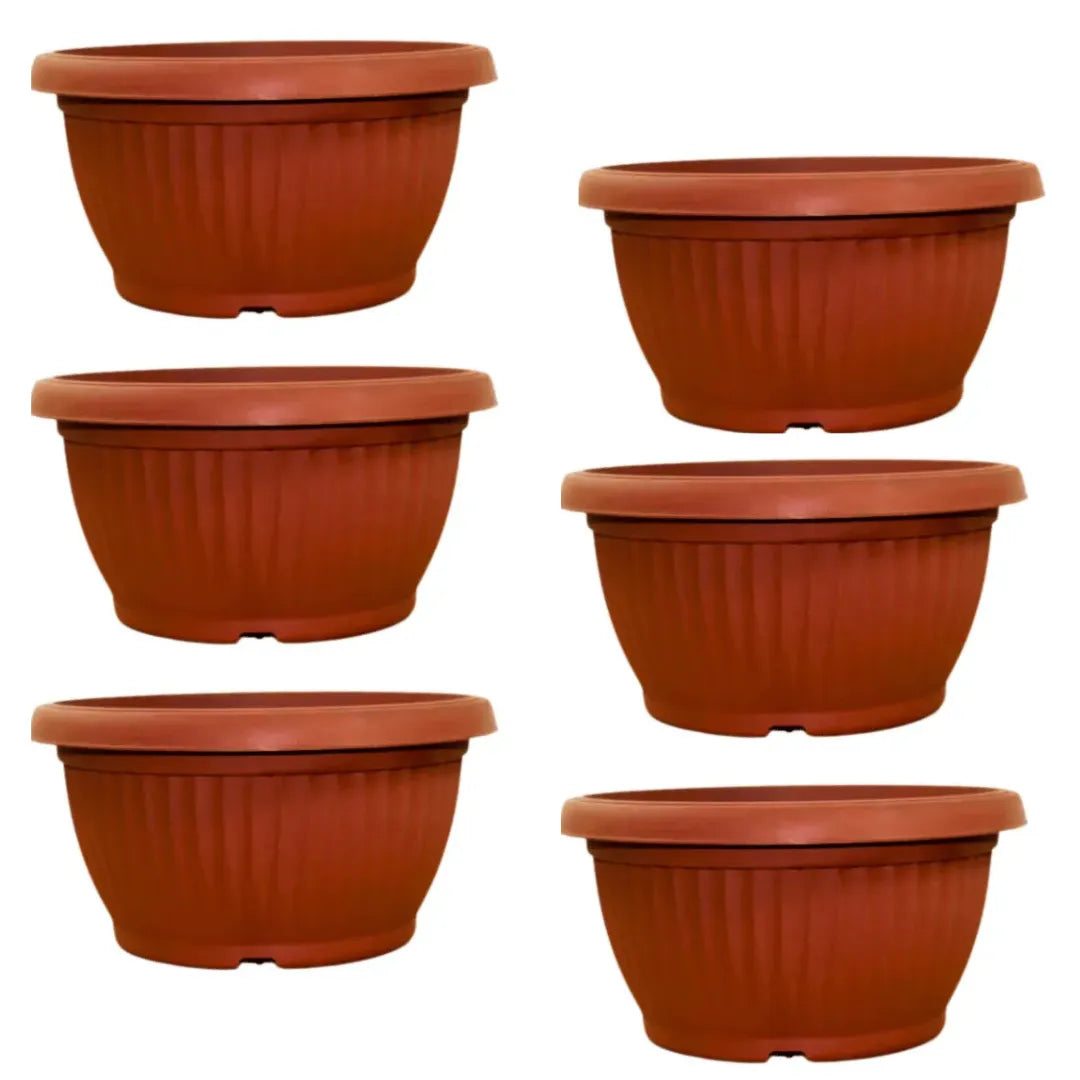 Buy Round Shape Bonsai Plastic Pot Online at Lalitenterprise