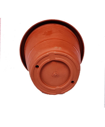 Shera  Terracotta color (Premium Quality) Plastic Pot