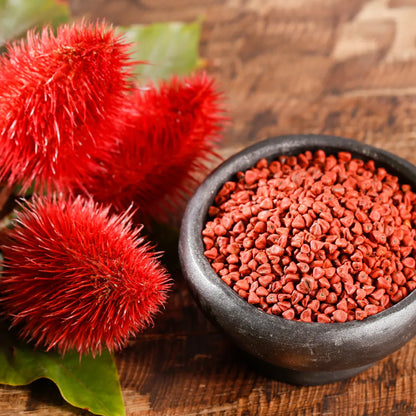 sindoor plant seeds Sindoor, Lipstick Tree (Bixa Orellana)