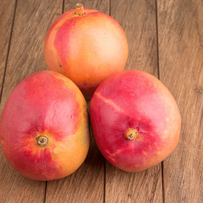 Buy Suvarnarekha Mango "Grafted" - Plant Online at Lalitenterprise