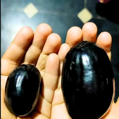  Buy Thai KG 10 Jamun - Plant Online at Lalitenterprise