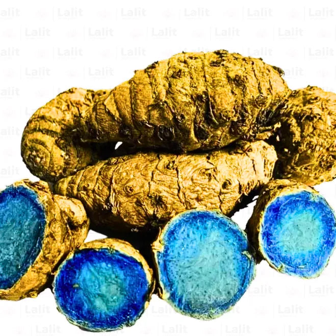 Buy Black Turmeric - Plant Online at Lalitenterprise