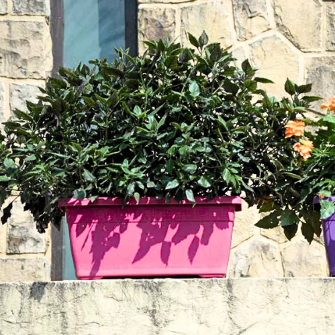 Buy Harshdeep Premium Window Planter 45 Online at Lalitenterprise