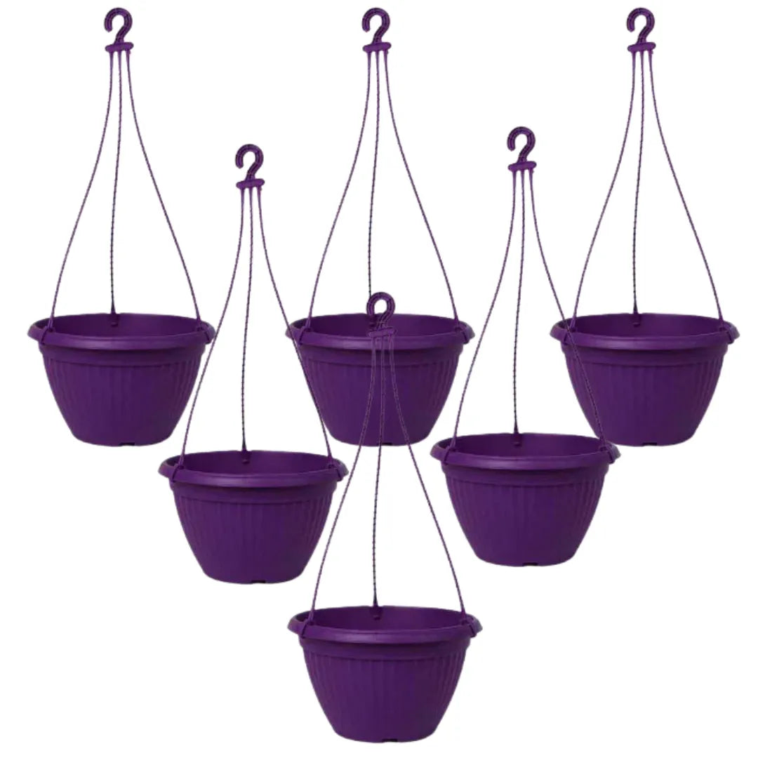 Buy Harshdeep Premium Bello Hanging Purple - Planter "Set of 6" Online at Lalitenterprise