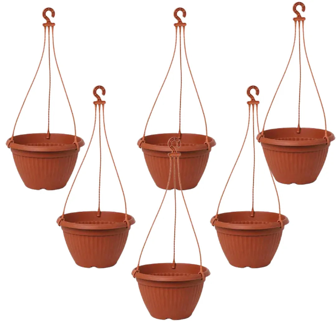 Buy Harshdeep Premium Bello Hanging Orange - Planter "Set of 6" Online at Lalitenterprise