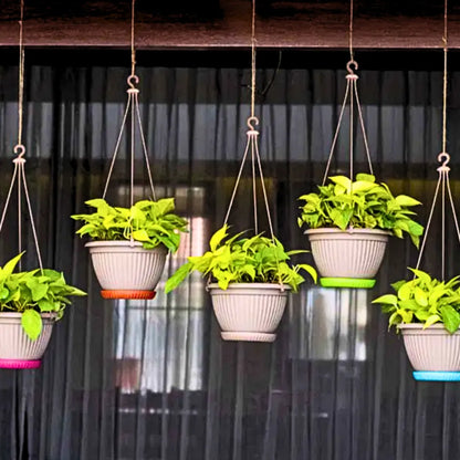 Buy Harshdeep Premium Bello Hanging - Planter Online at Lalitenterprise