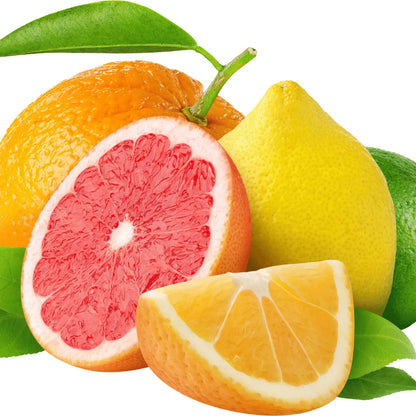 Buy Pomelo Plant Online at Lalitenterprise