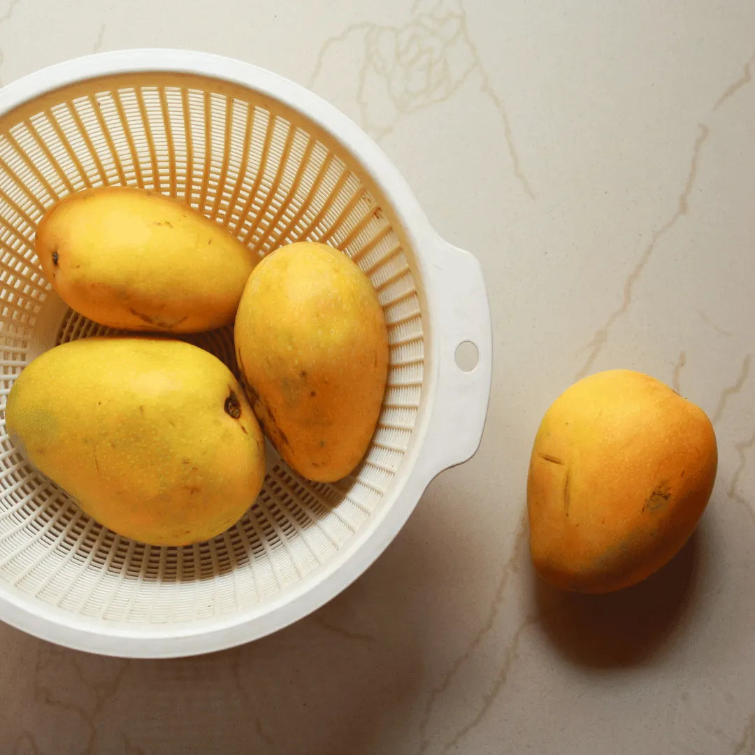 Buy Badam Mango (Mangifera indica "Badami") Plant Online at Lalitenterprise