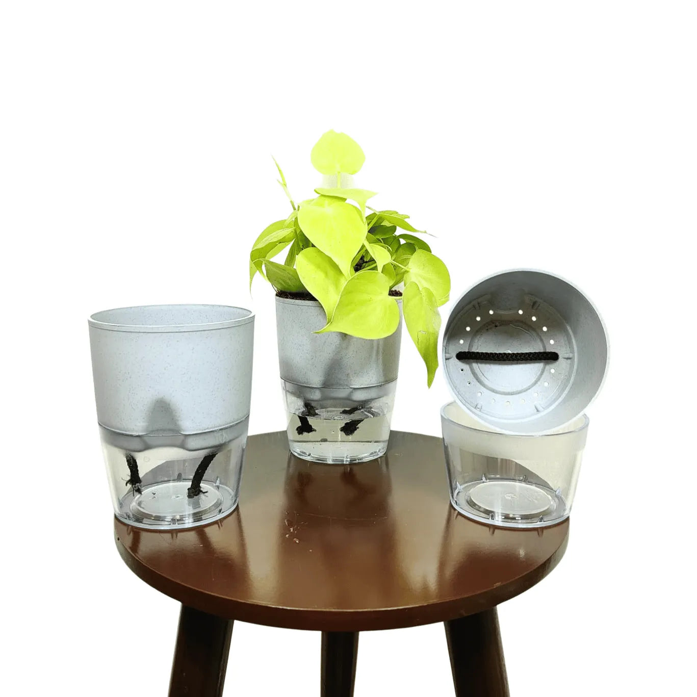 Buy LOBELLO Premium Quality self watering Stone Grey pot Online at Lalitenterprise
