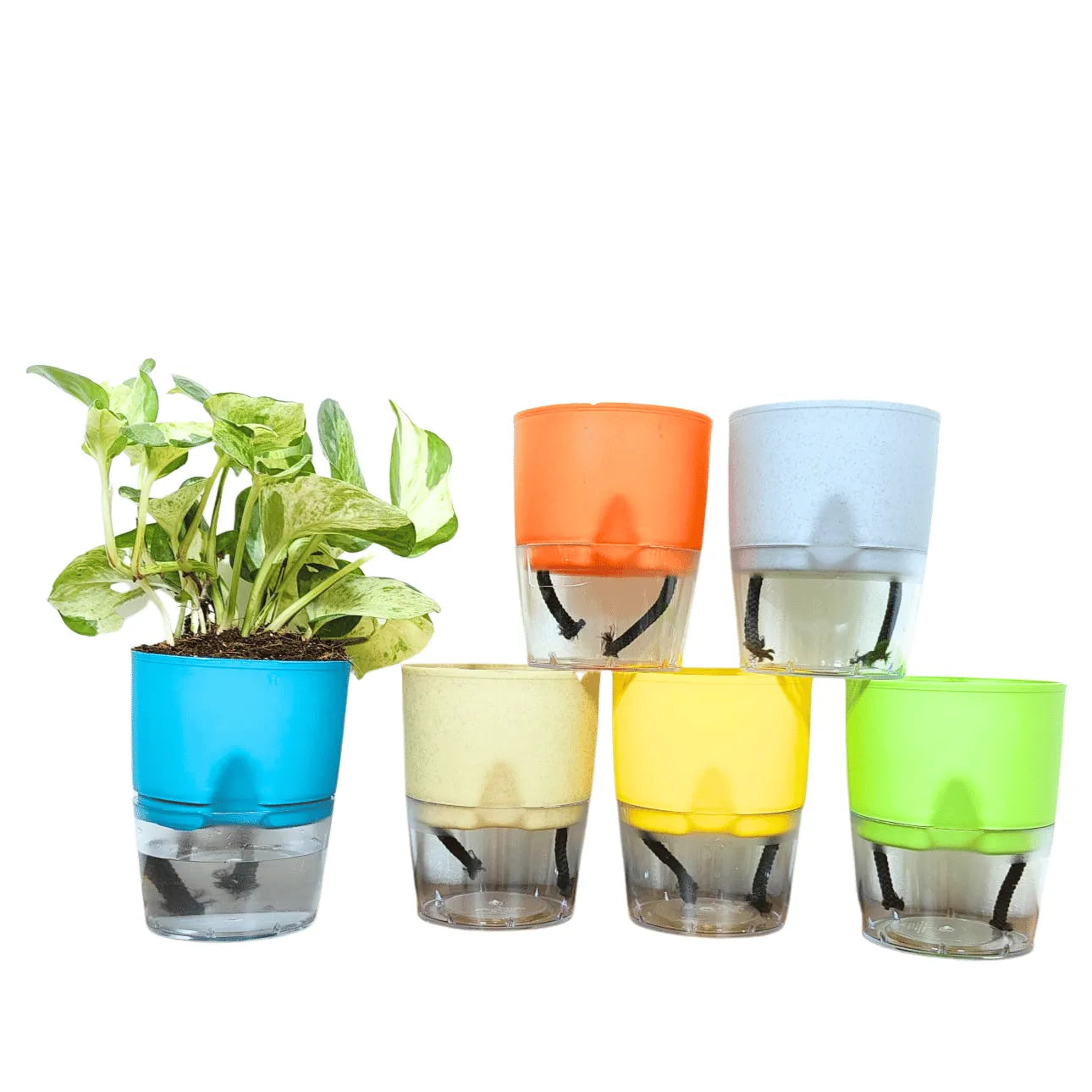 Buy LOBELLO Premium Quality self watering Multi Color pot Online at Lalitenterprise